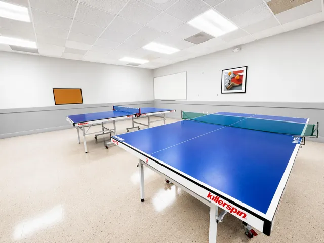PingPong Room