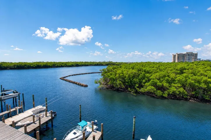 Waterfront property featuring deep blue water, and lush green foliage