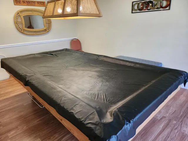 8625 Jasmine Way Boca pool table2