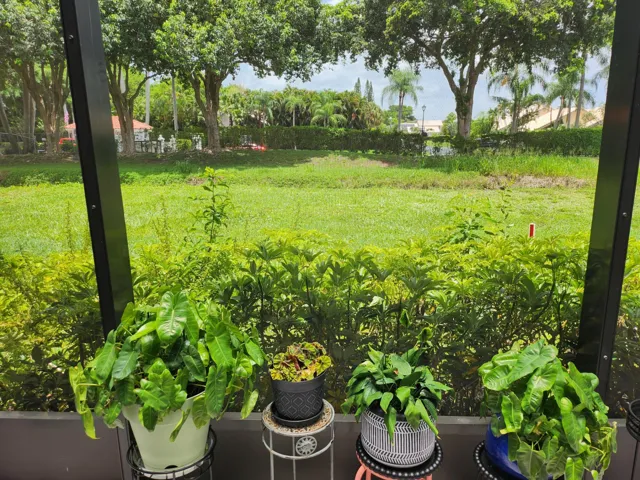8951 SUNNYWOOD PL Boca patio6