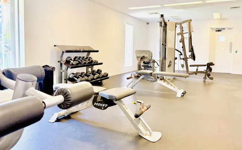 Full workout mini gym with separate cardio room.