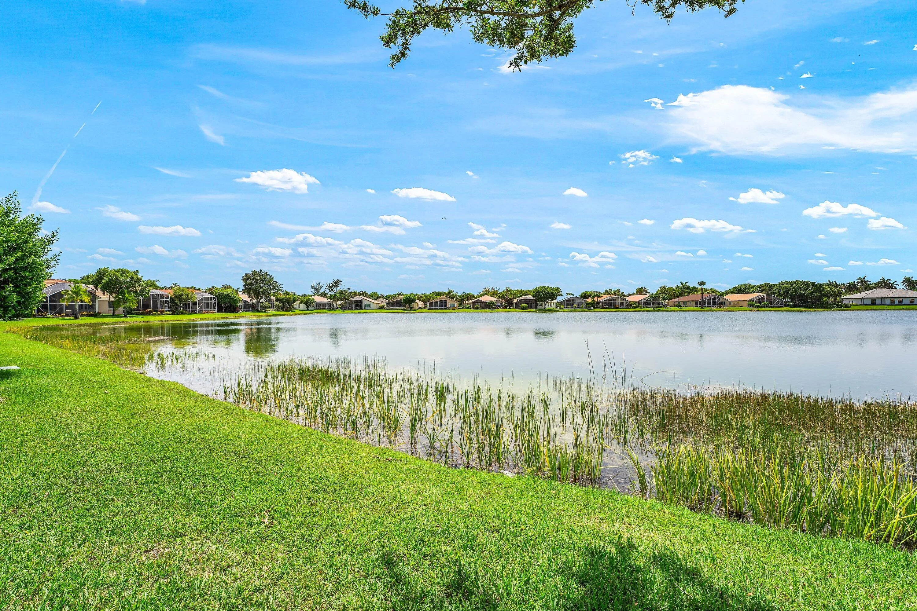Lake View