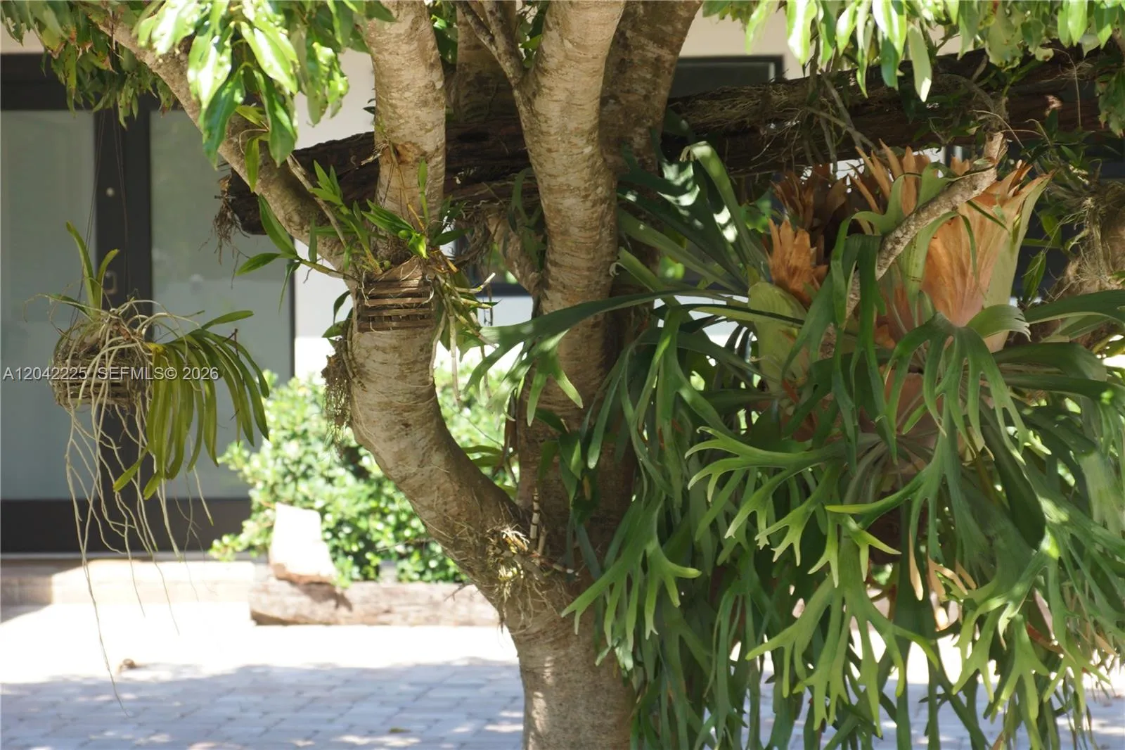 Photo 48