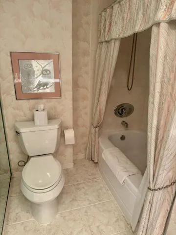 Primary Bath Pic 2