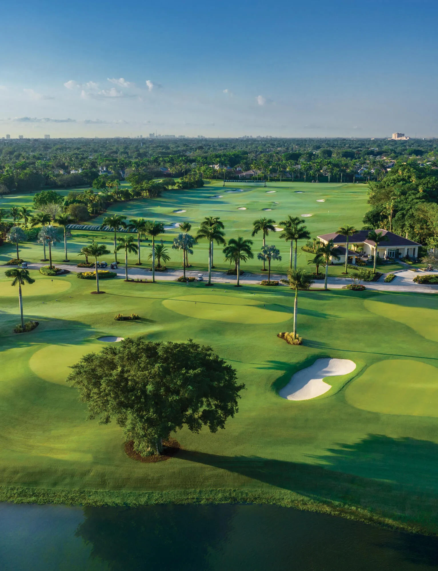 16.5_Acres_of_Practice_Grounds_&_'71_Lea