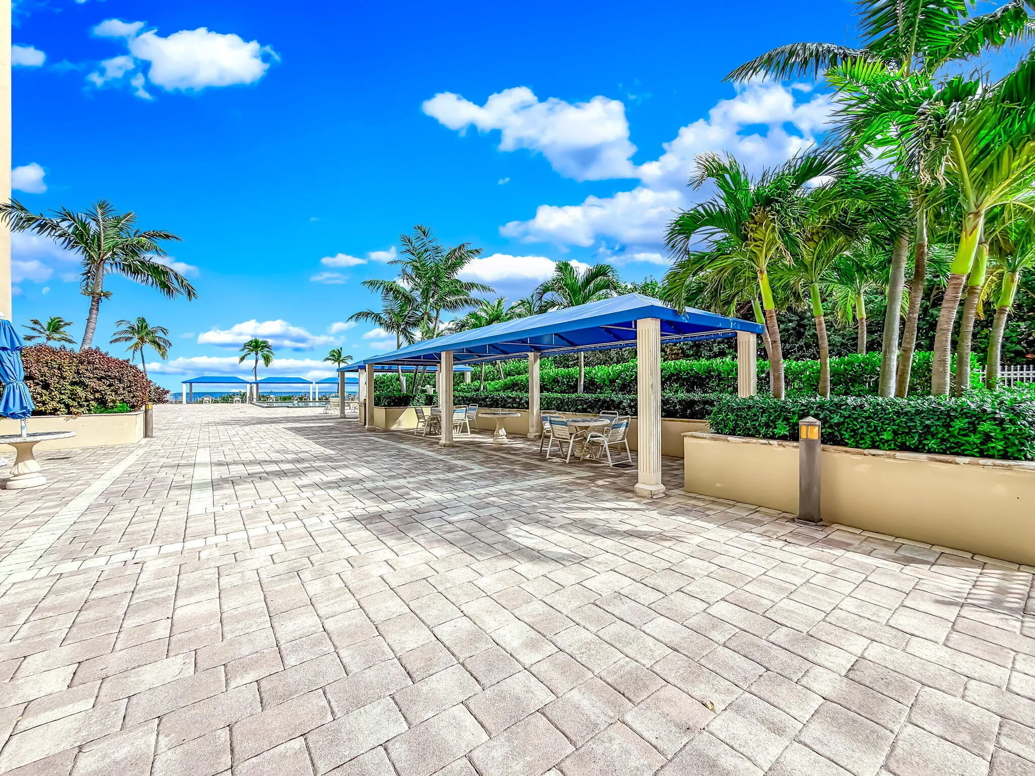 62-web-or-mls-DSC08422