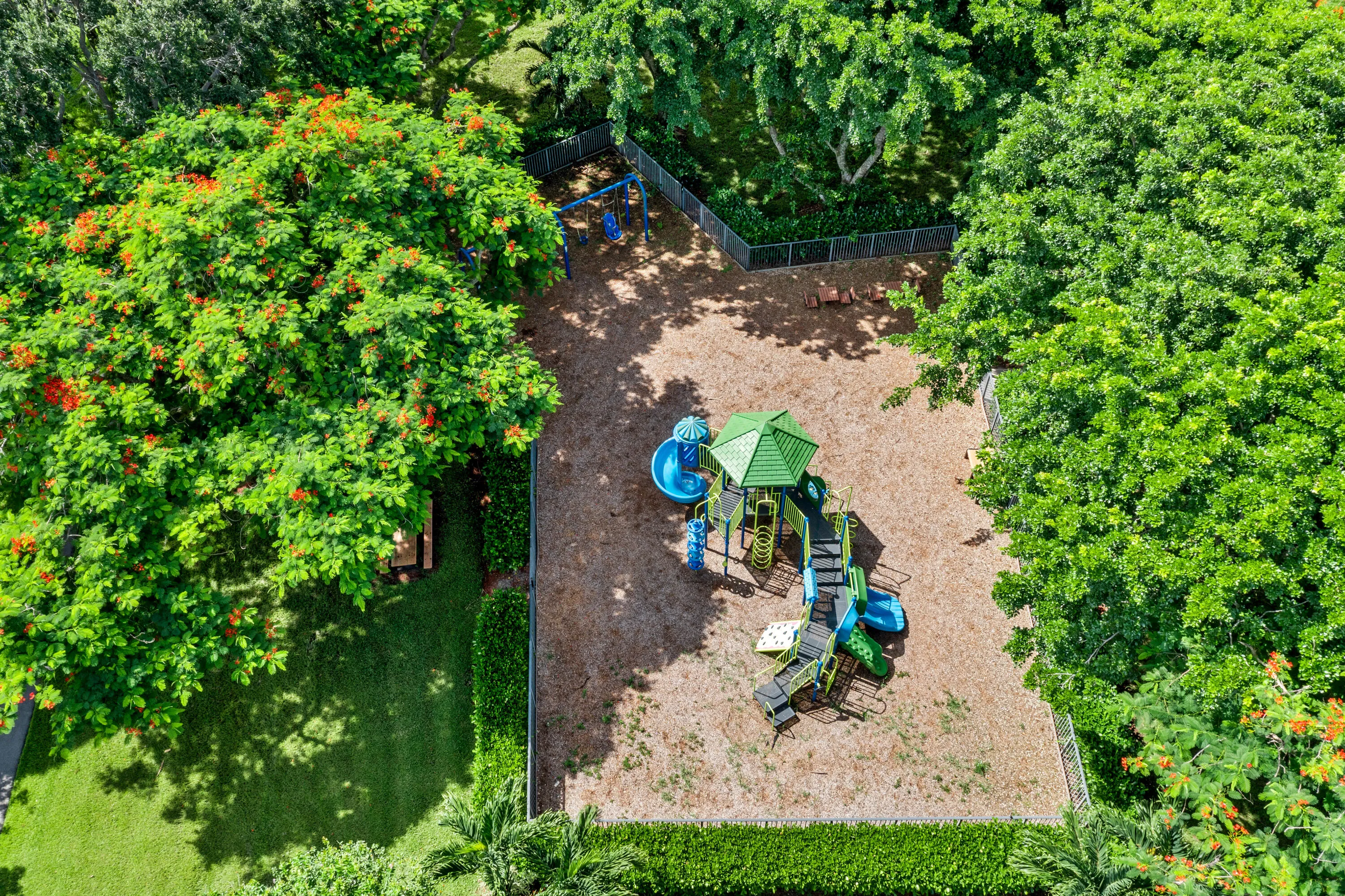 DJI_0483