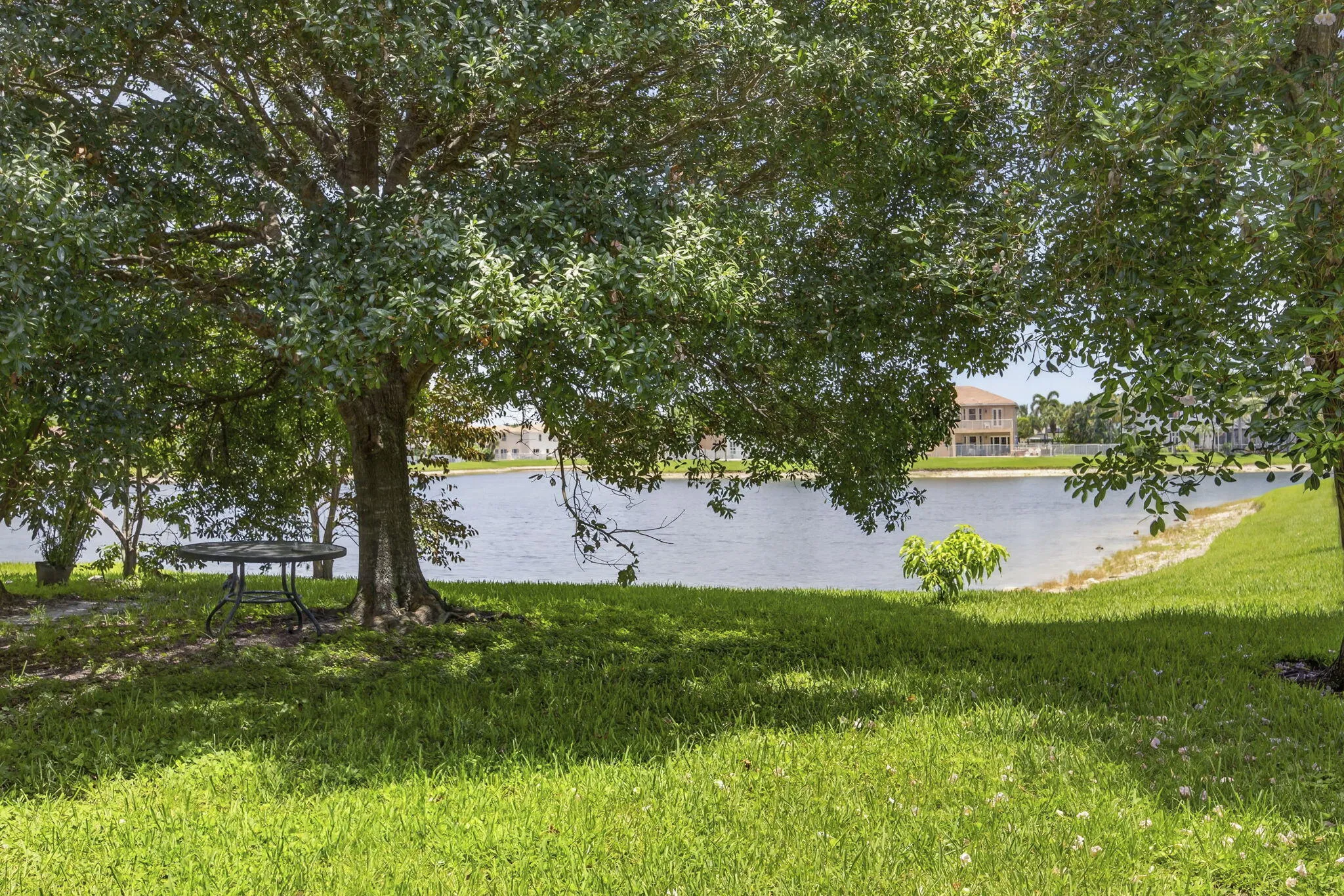 71-web-or-mls-BS1A8834