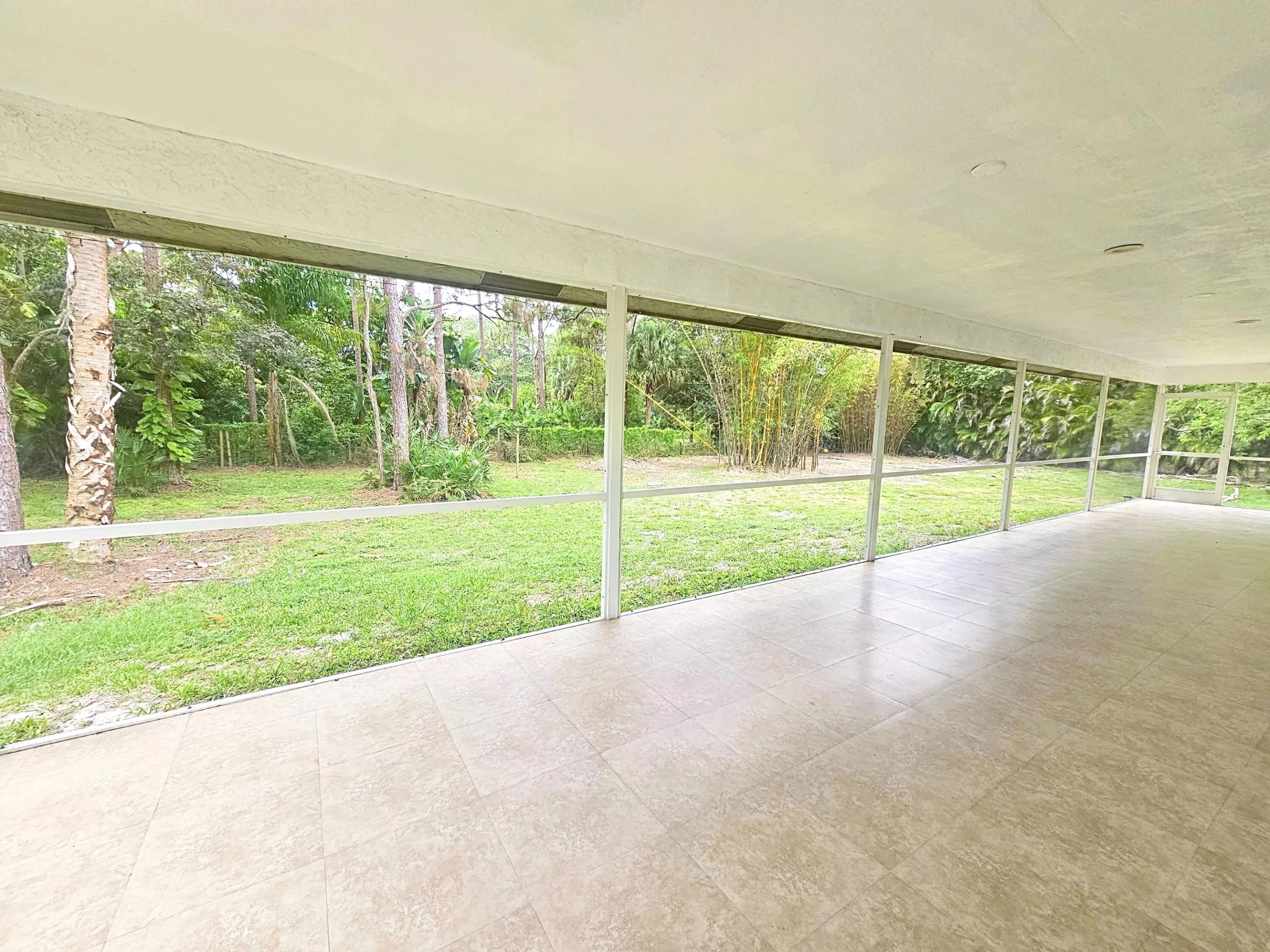 Patio View