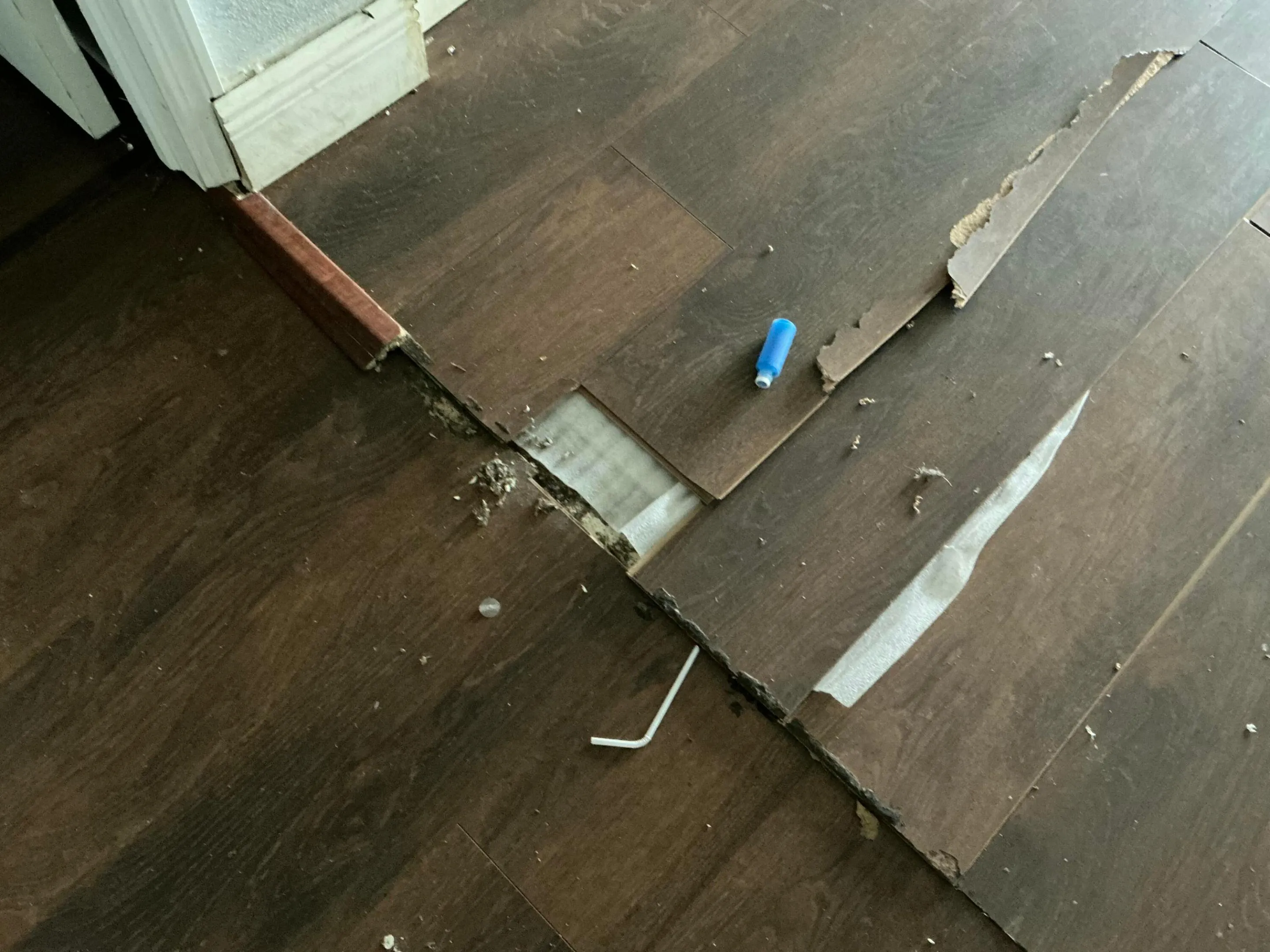 FLOOR