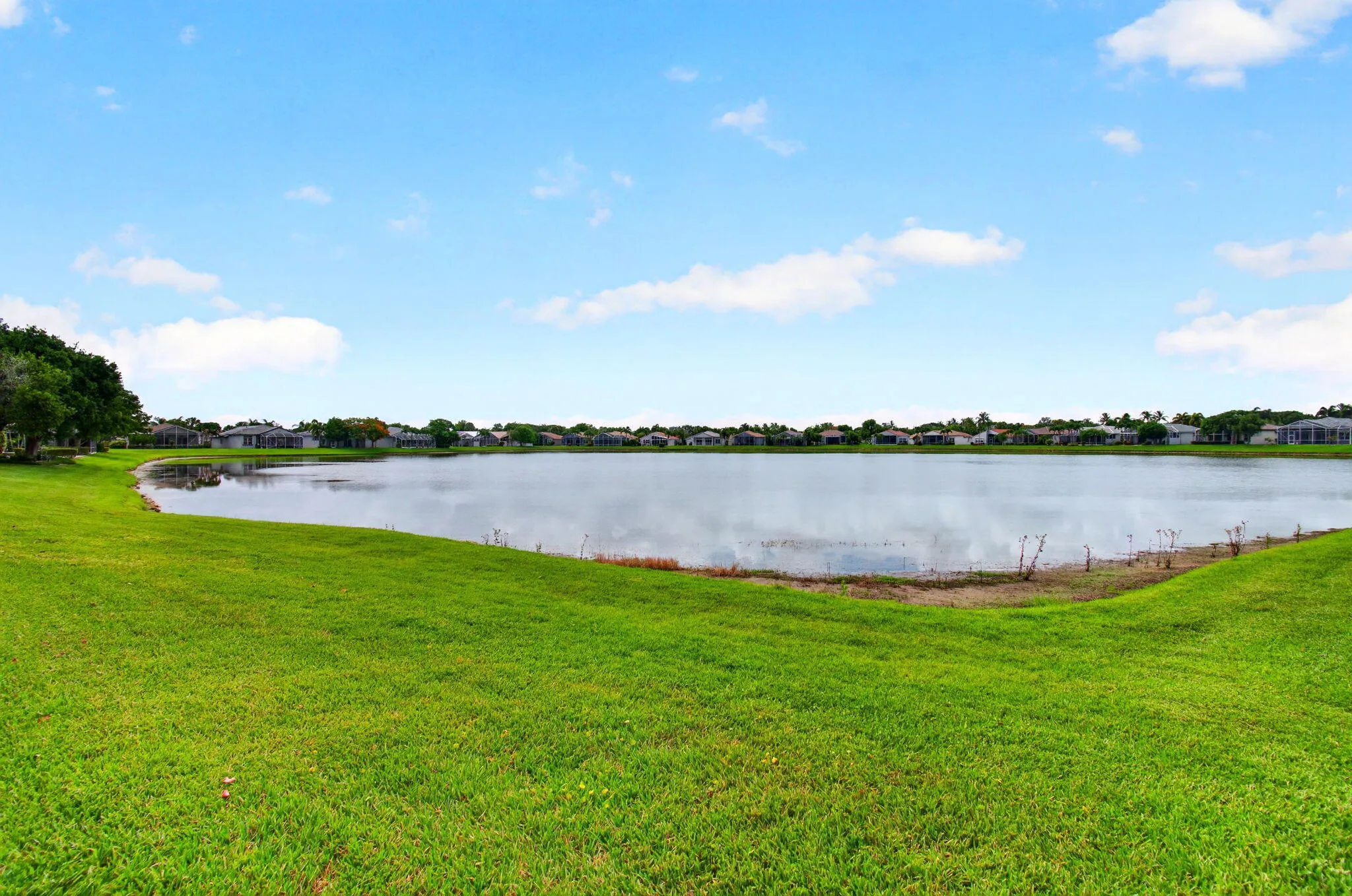 73-web-or-mls-DSC_7851