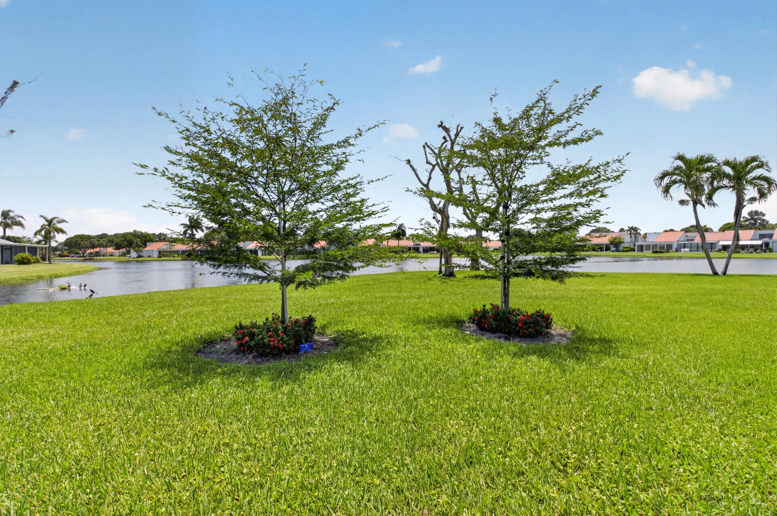 Lake View