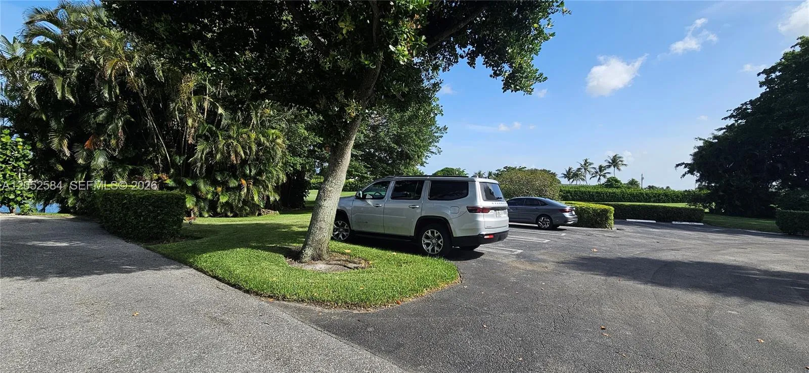 Plenty of Visitor parking