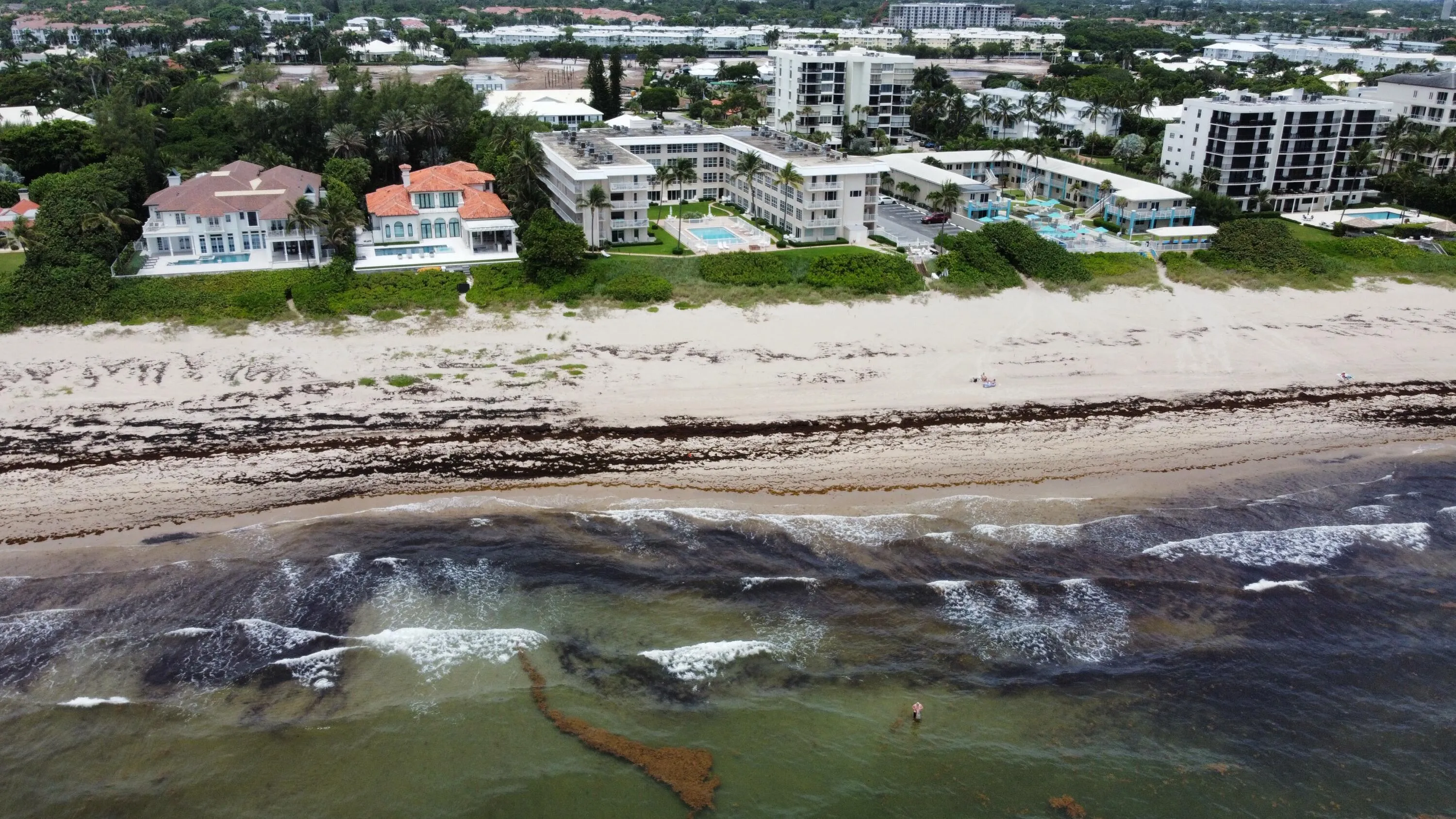 dji_fly_20260711_124302_97_1783788298525