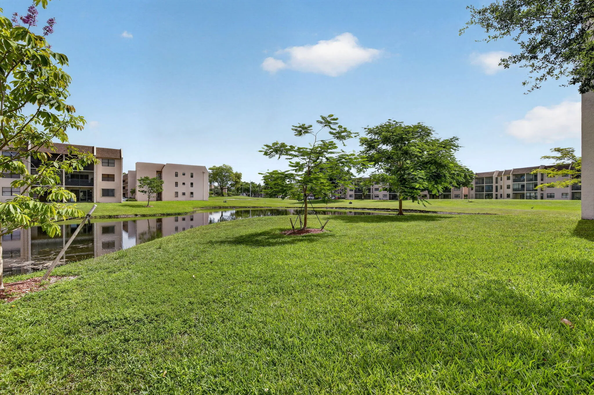 Expansive green space featuring mature trees and a tranquil pond, bordered by multi-story residential buildings