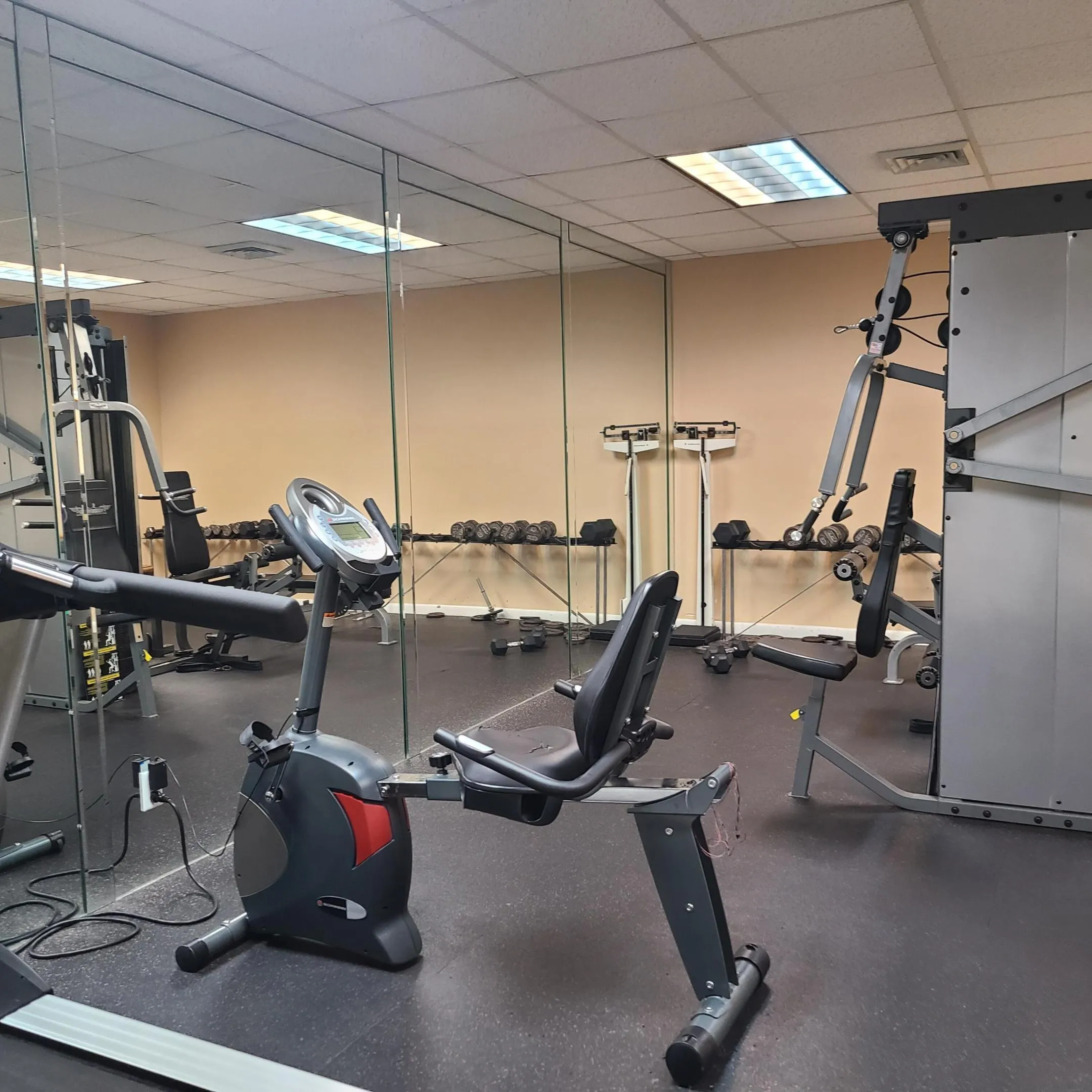 gym