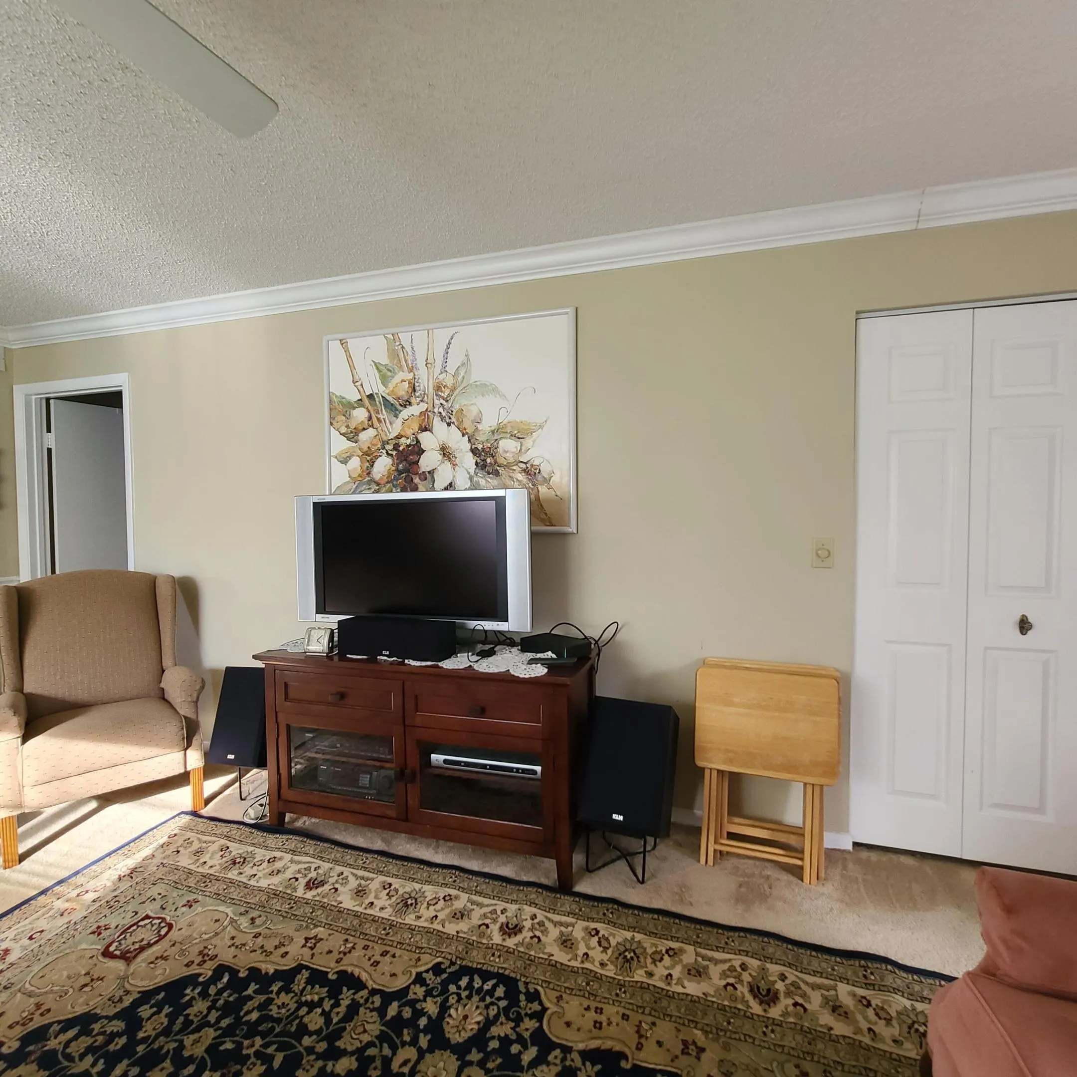 tv in living area