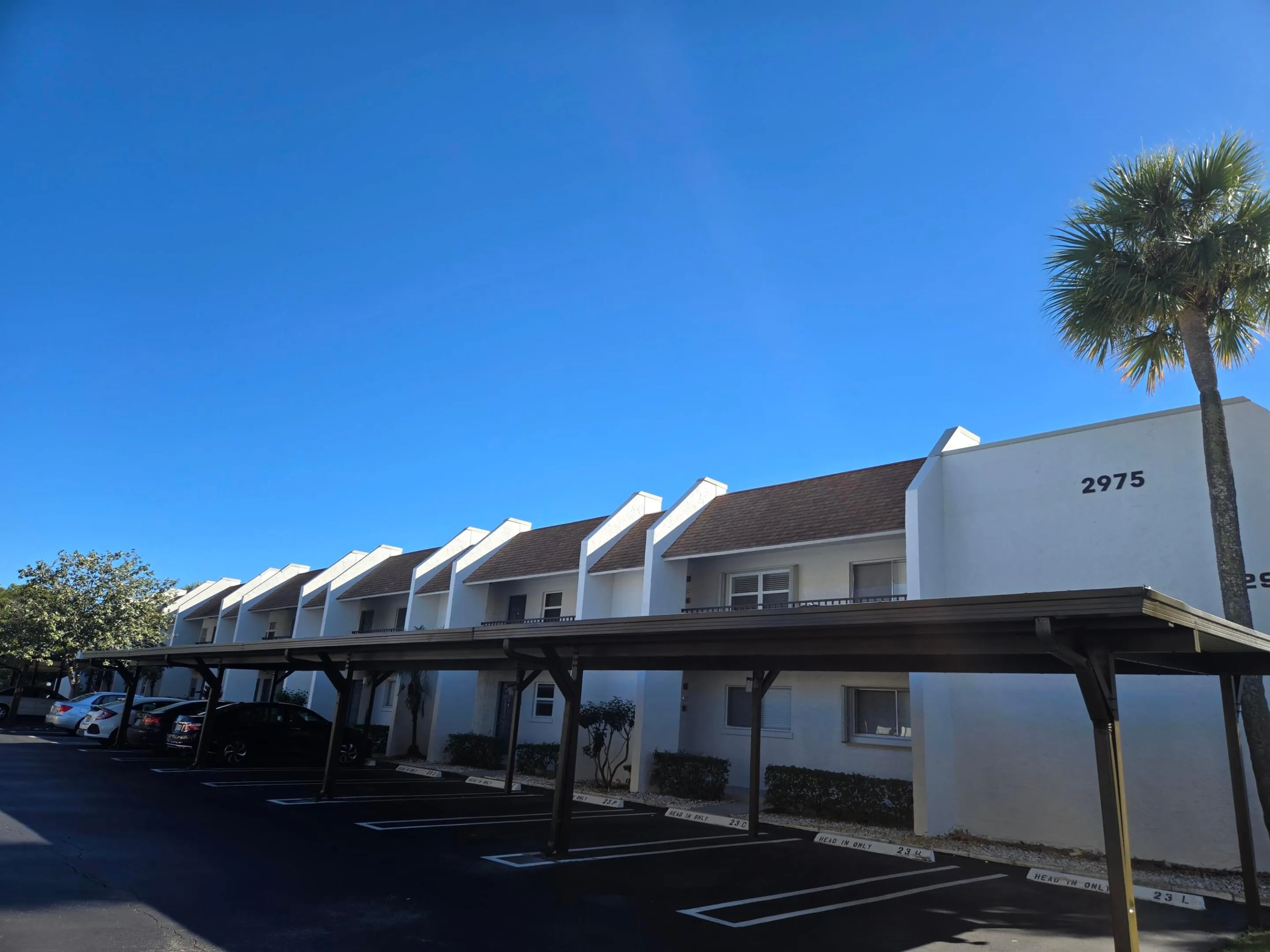 Sabal Pine East
