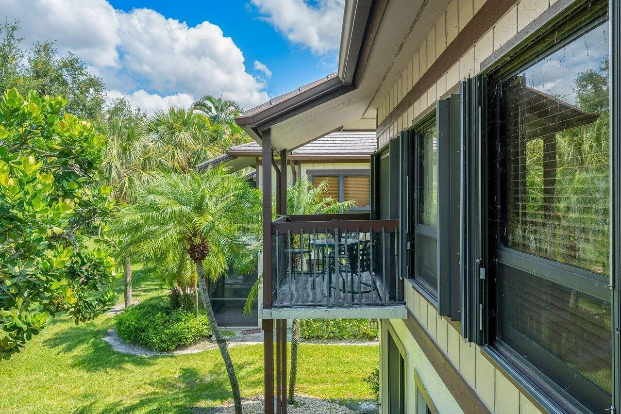 Patio view