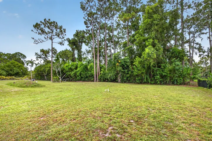 58-web-or-mls-5D1A1366