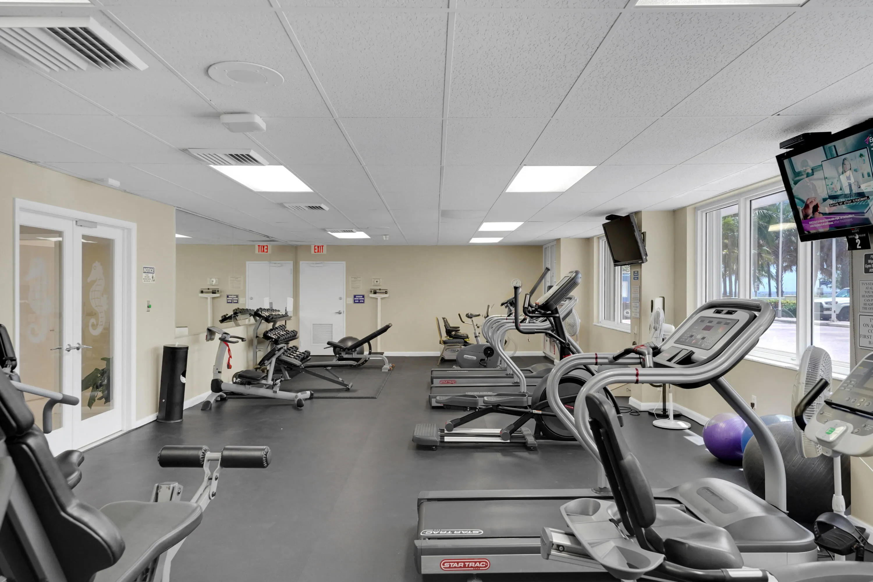 Gym