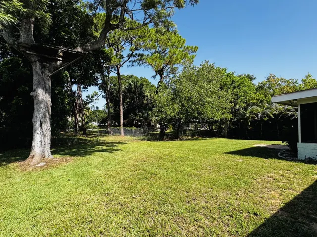 Fenced Back Yard