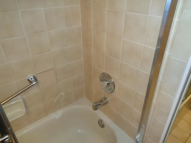 Guest W / Tub