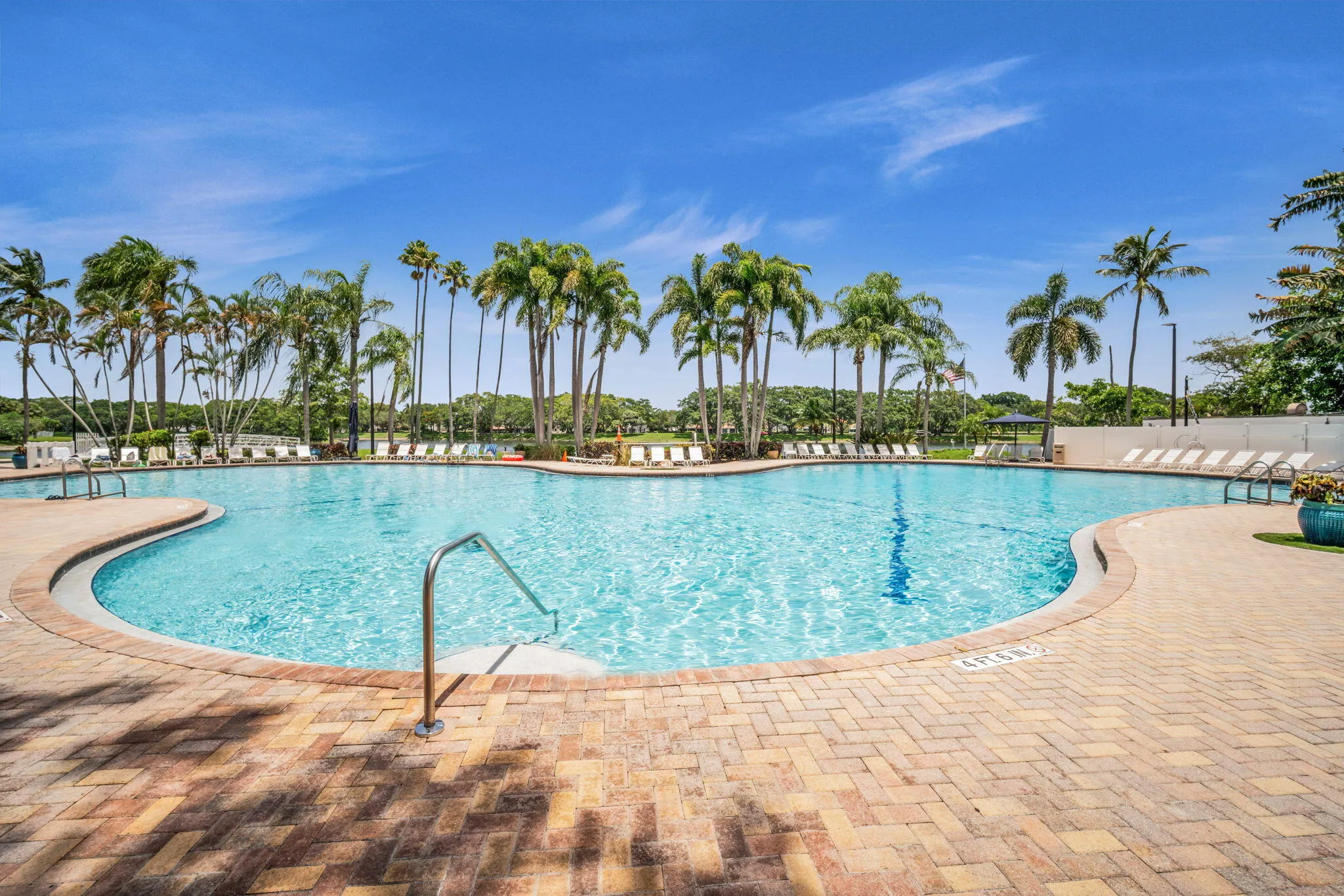 Curved swimming pool with a brick paver deck, surrounded by palm trees and a perimeter of lounge seating