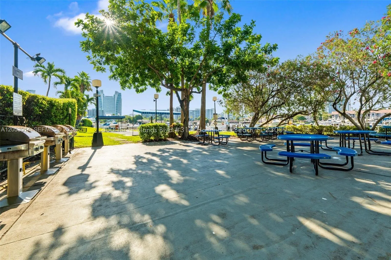 Photo 24