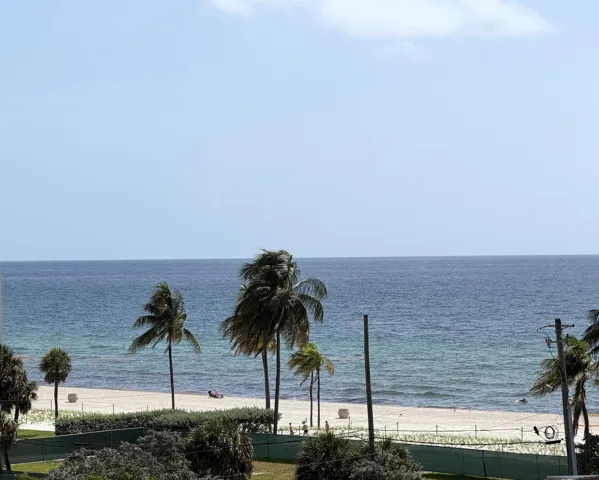 Expansive oceanfront vista featuring a sandy beach, clear waters, and mature palm trees