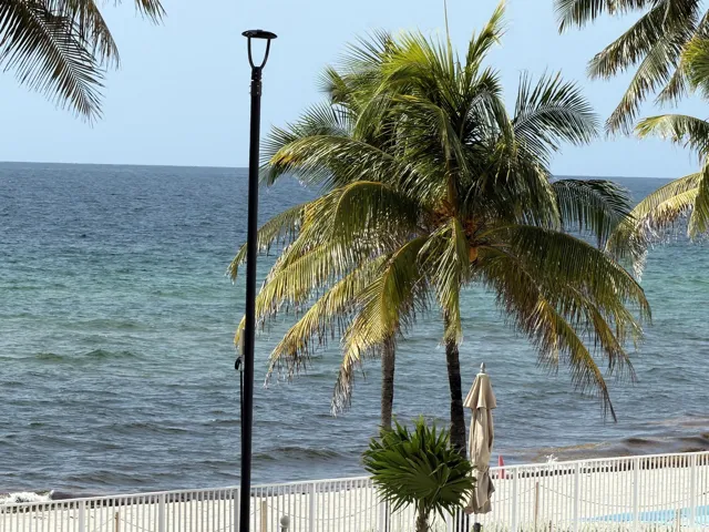 Oceanfront property with a white picket fence, mature palm trees, and a sandy beach