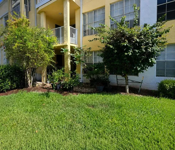 back patio