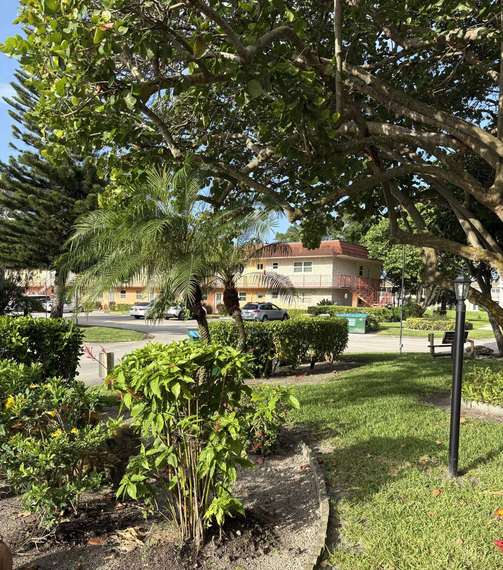 garden view