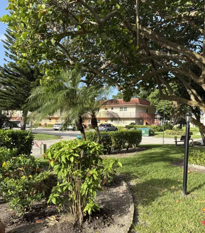 garden view