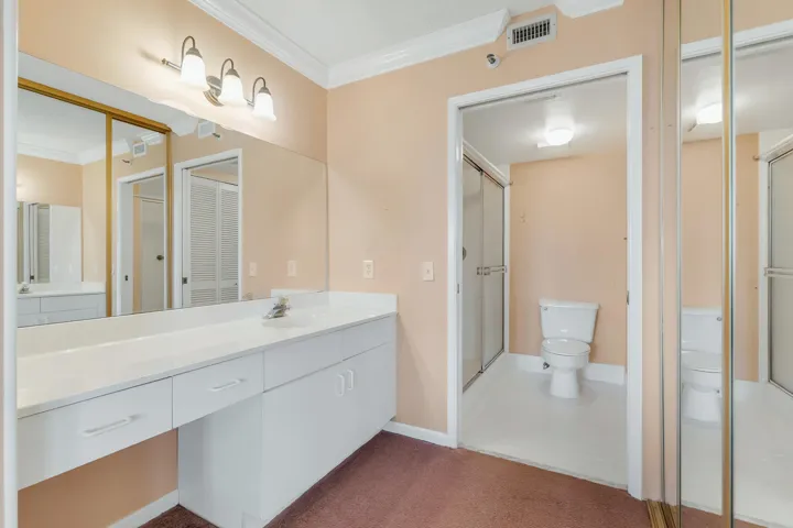 Vanity area featuring a long countertop, integrated sink, and white cabinetry with drawer storage.