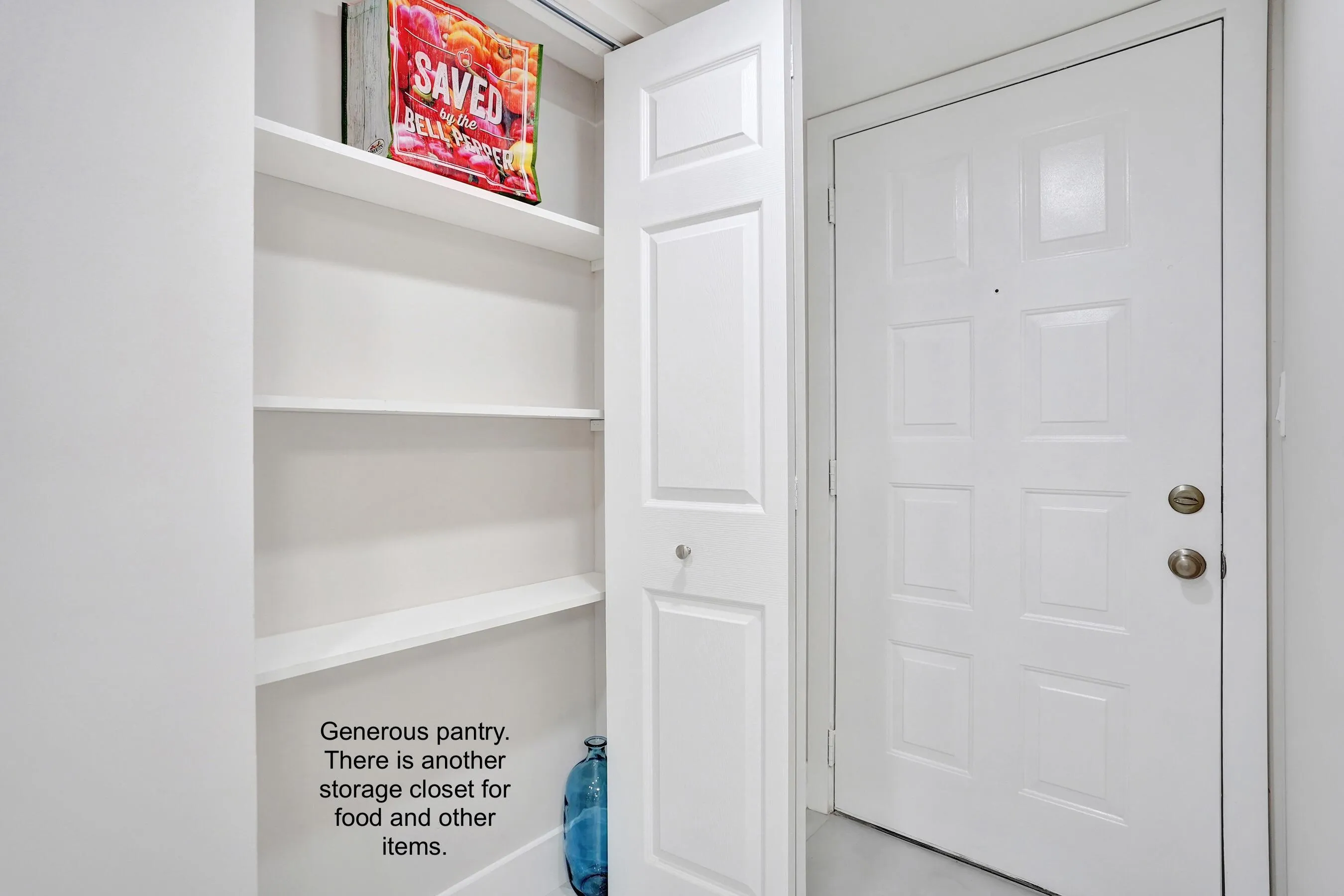 One of two pantry or storage cabinets.