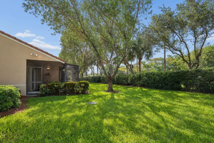Green Space Backyard