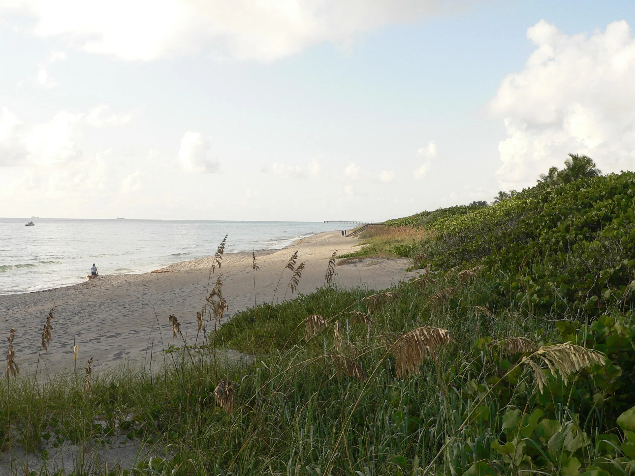 Jupiter Beach