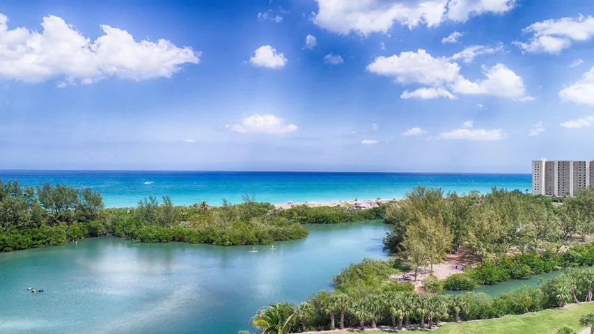 Jupiter's Estuary