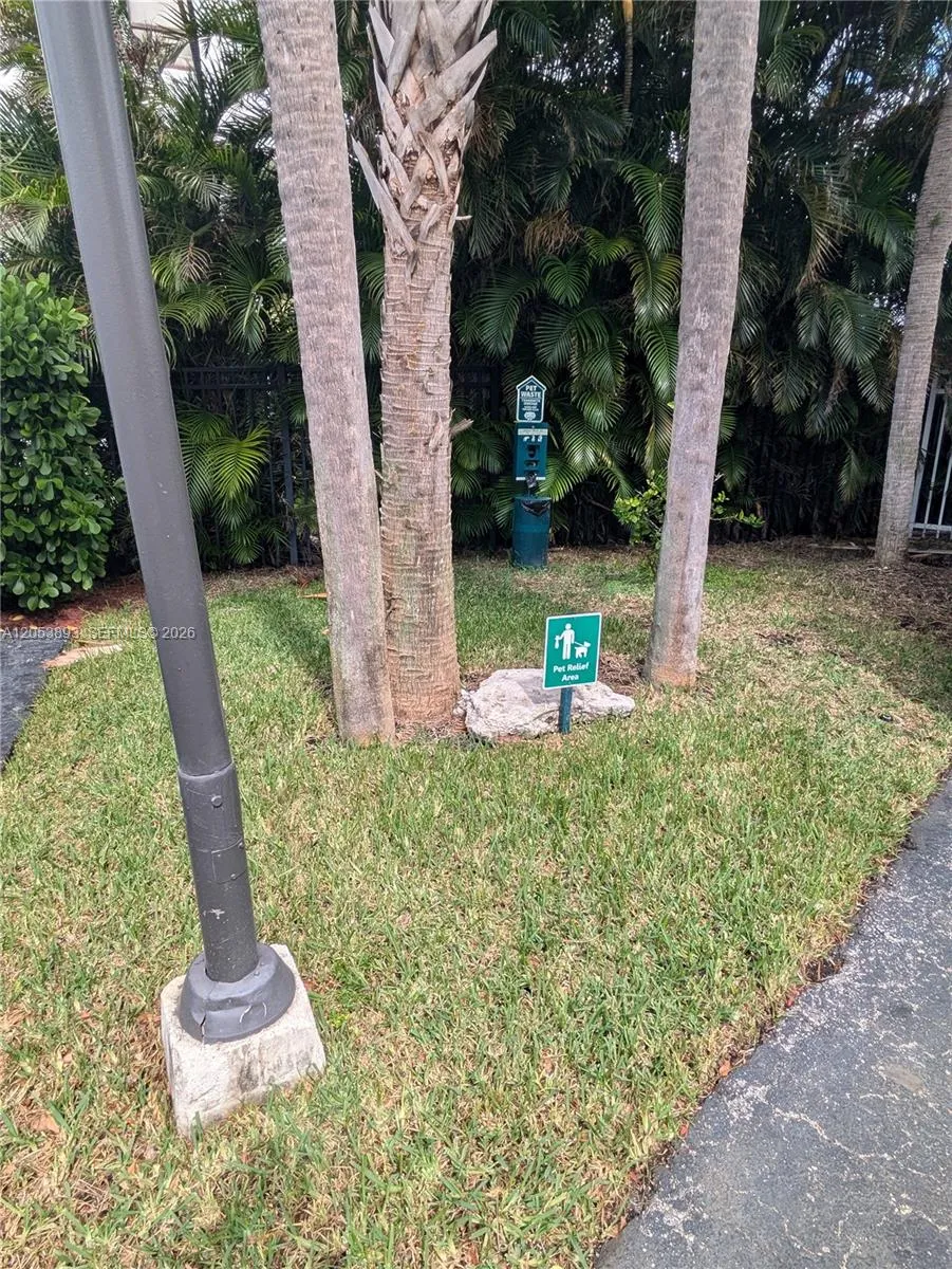 Pet Area
