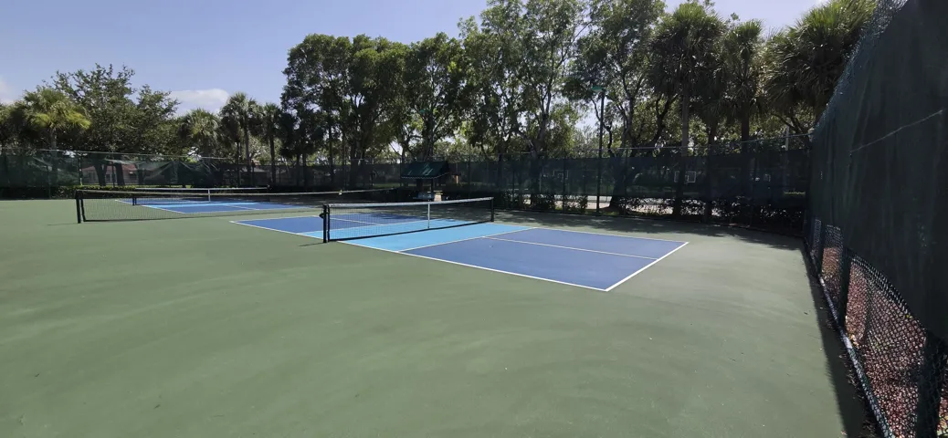 Pickle Ball