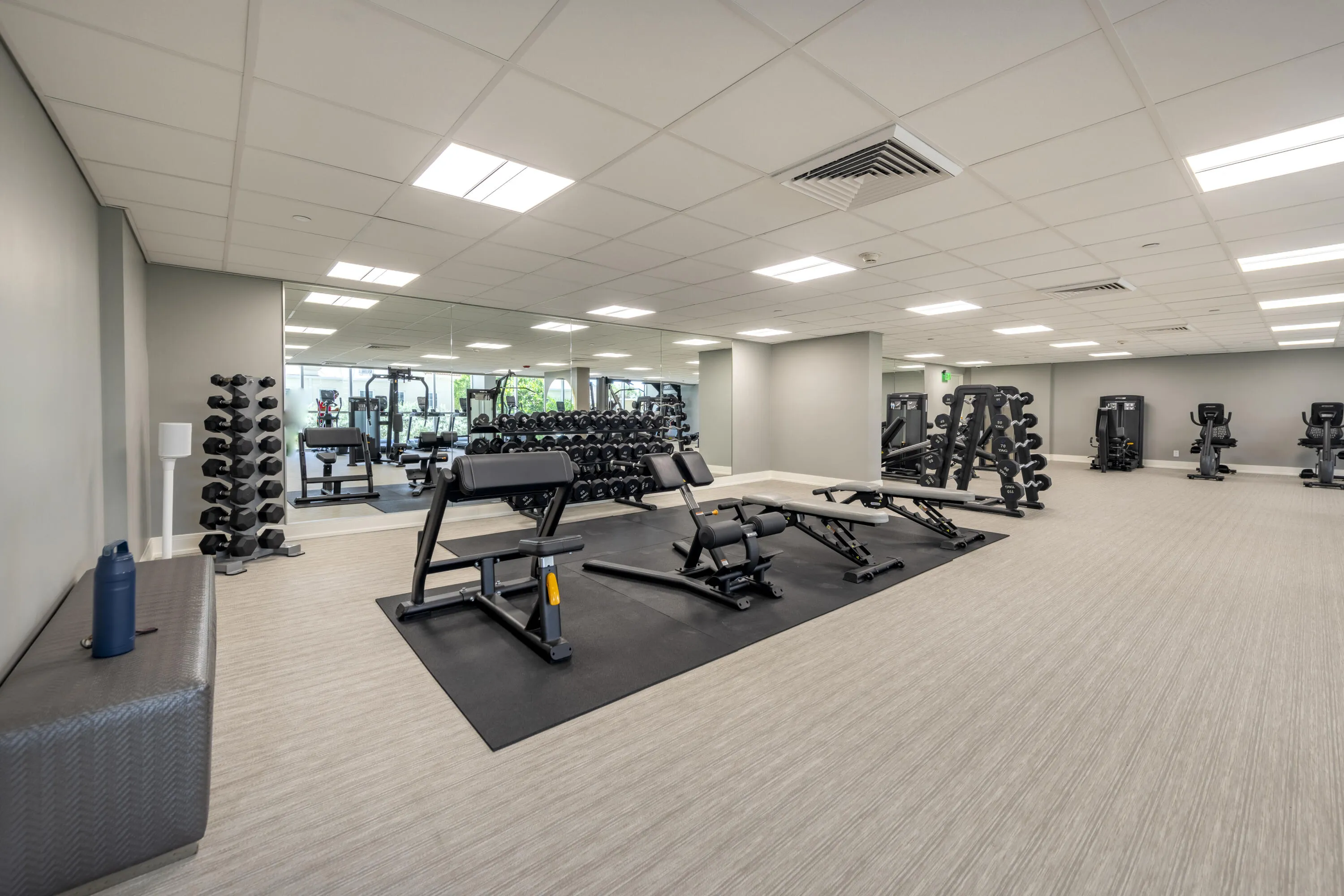 Updated Fitness Area