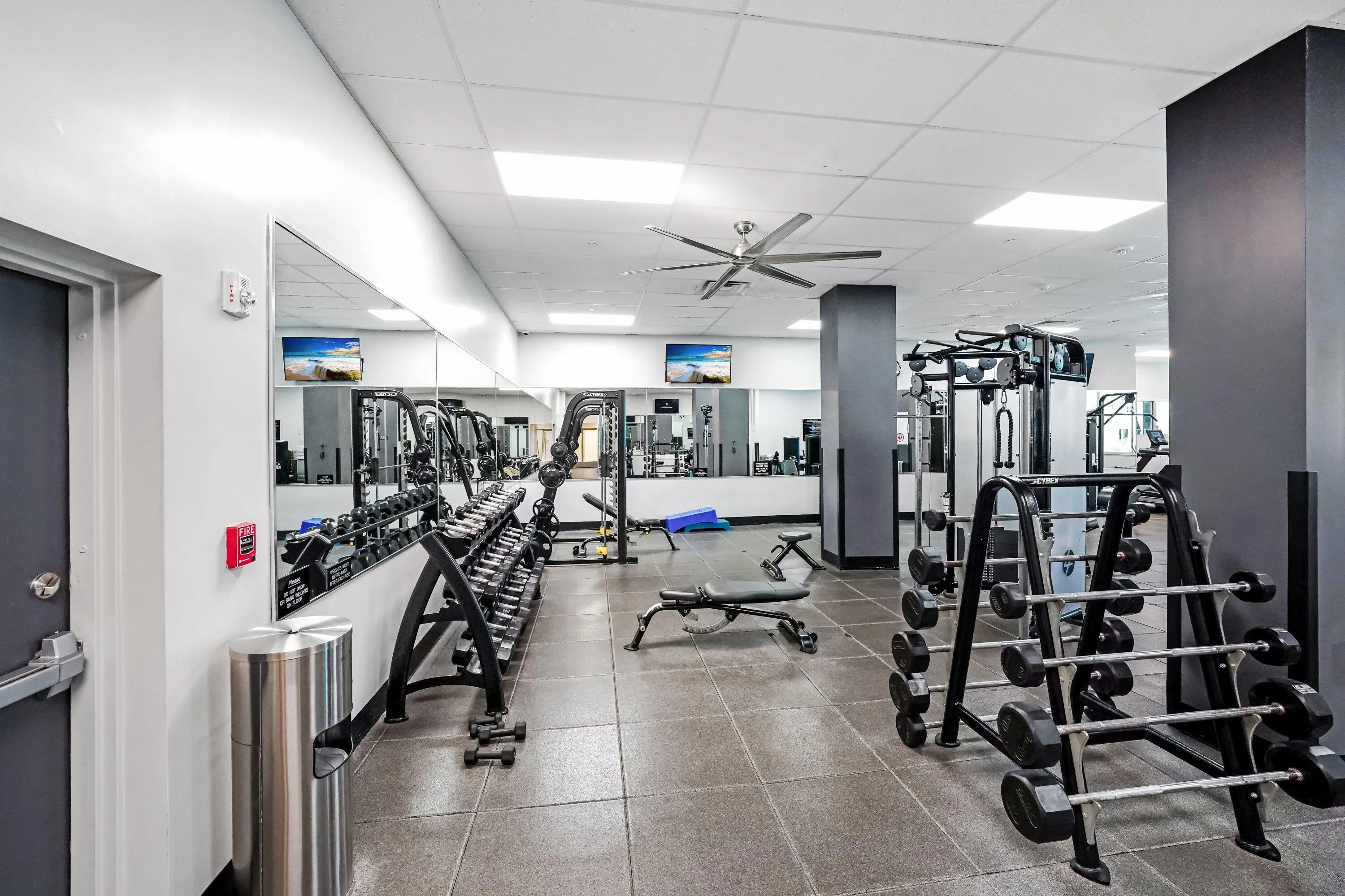 Gym/Fitness