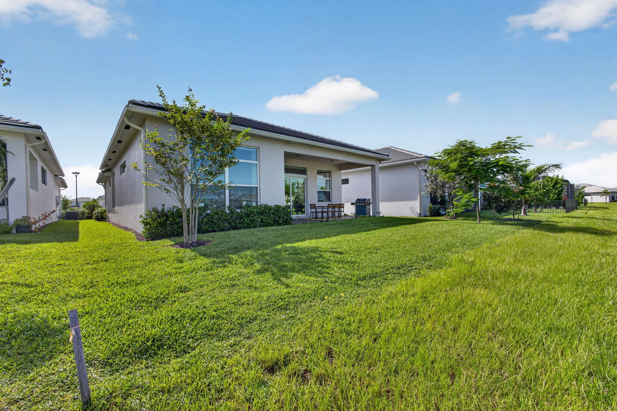 Exterior Backyard
