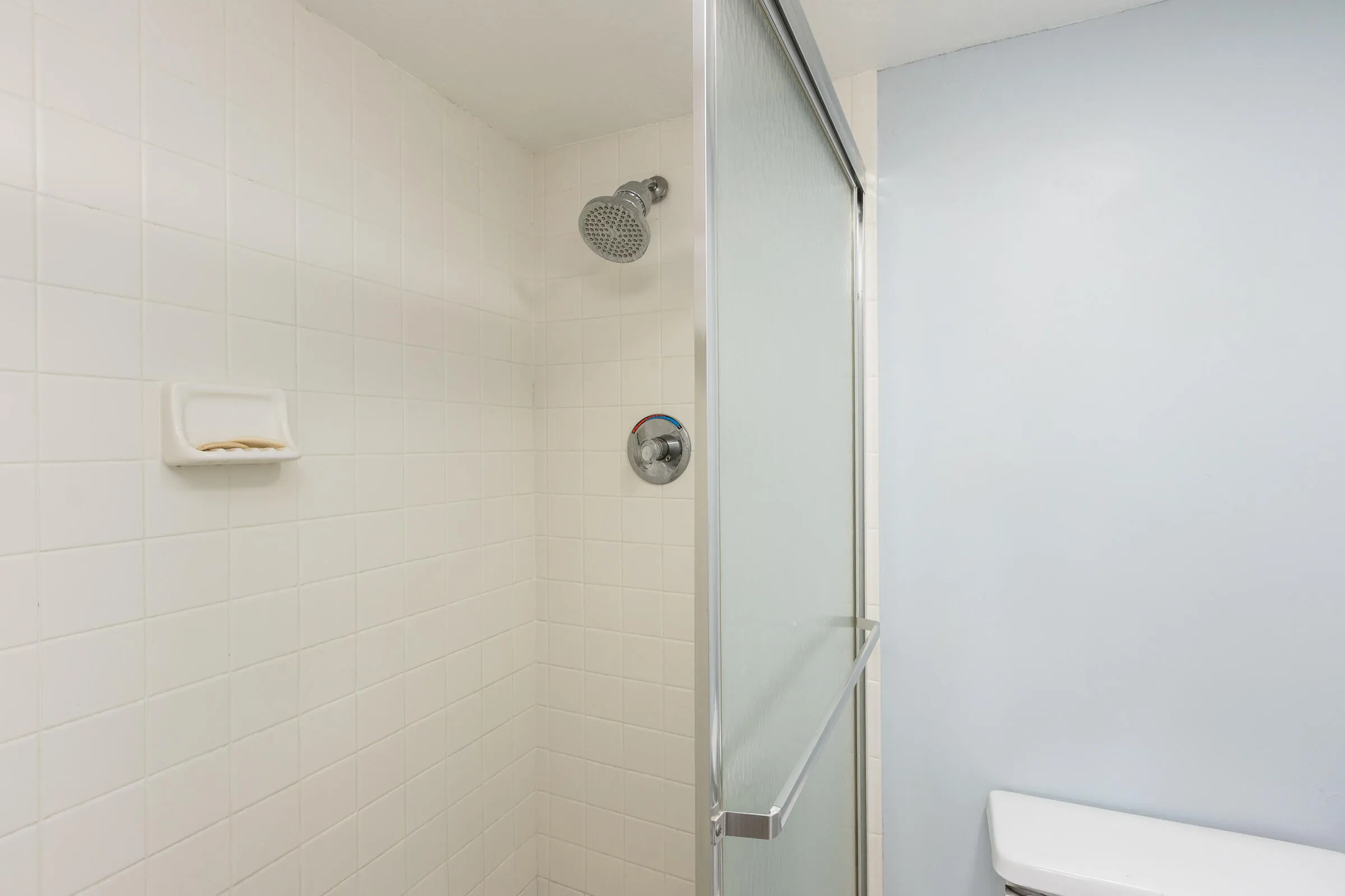 Master Bathroom walk-in shower