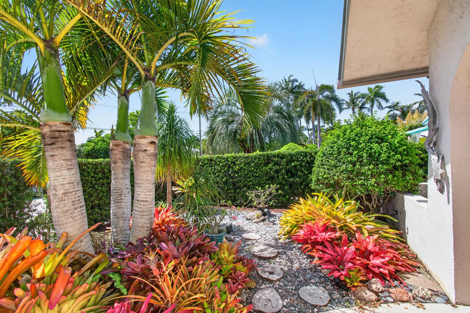 Tropical Landscape