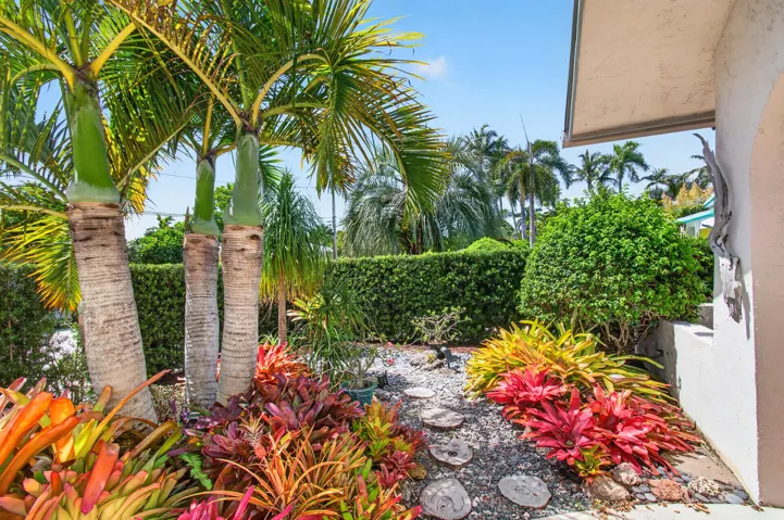 Tropical Landscape