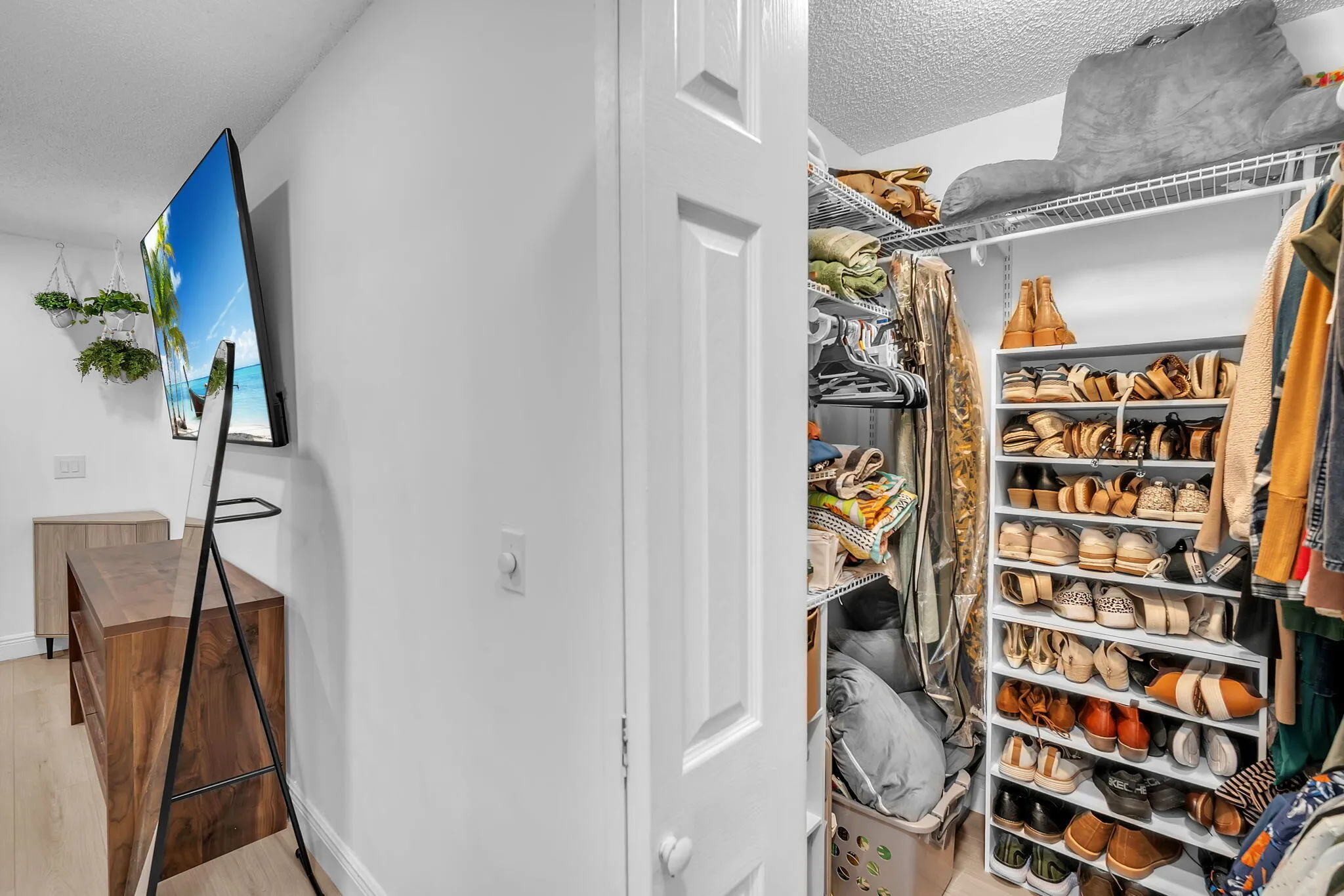 16-web-or-mls-DSC09689