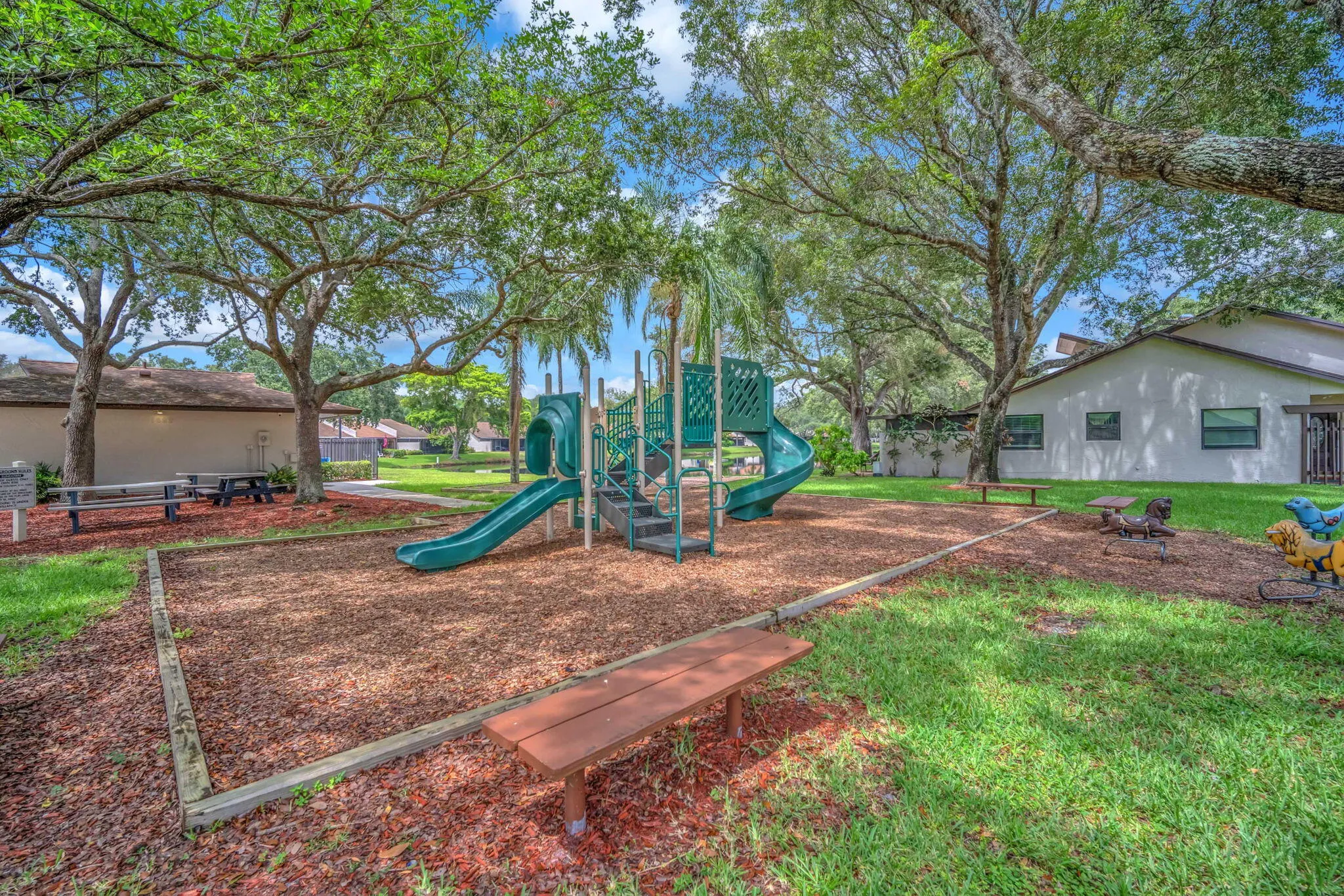 26-web-or-mls-DSC09698