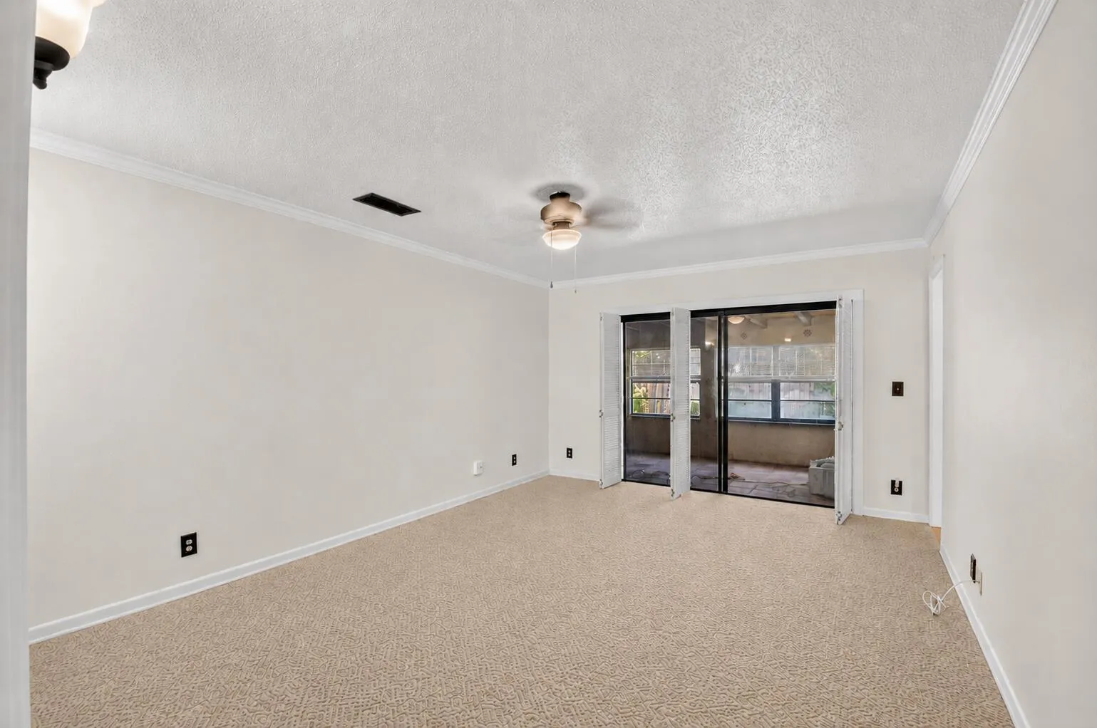 Primary_carpet paint